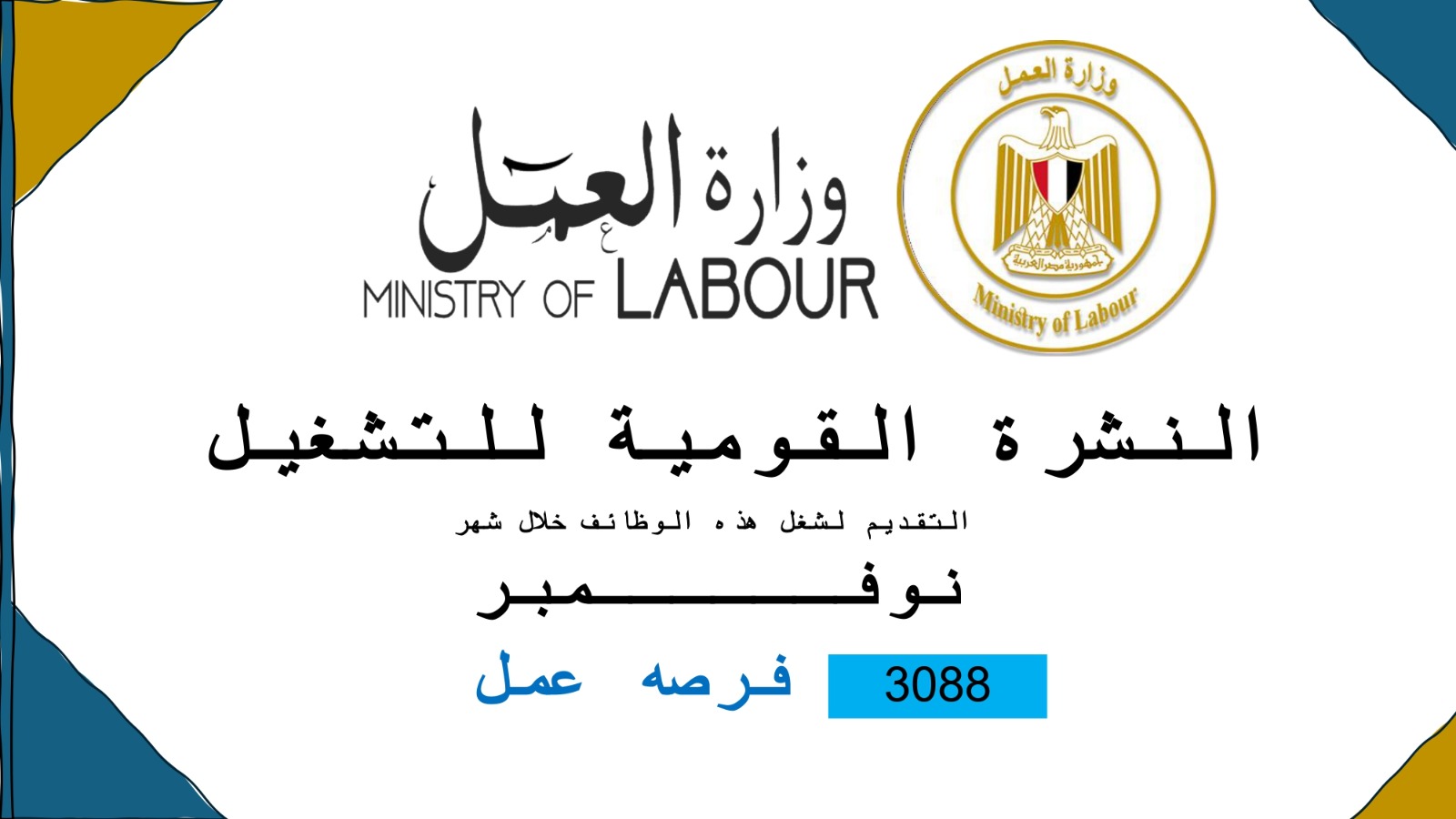 وزير القوى العامله 
